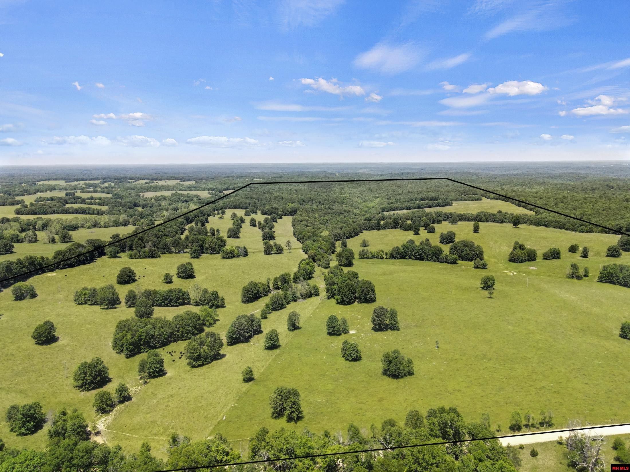 West Plains, Oregon County, MO Undeveloped Land for sale Property ID