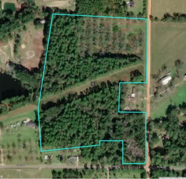 Cairo, Grady County, GA Farms and Ranches for sale Property ID