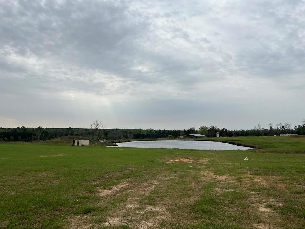 Climax, Decatur County, GA House for sale Property ID 415976000