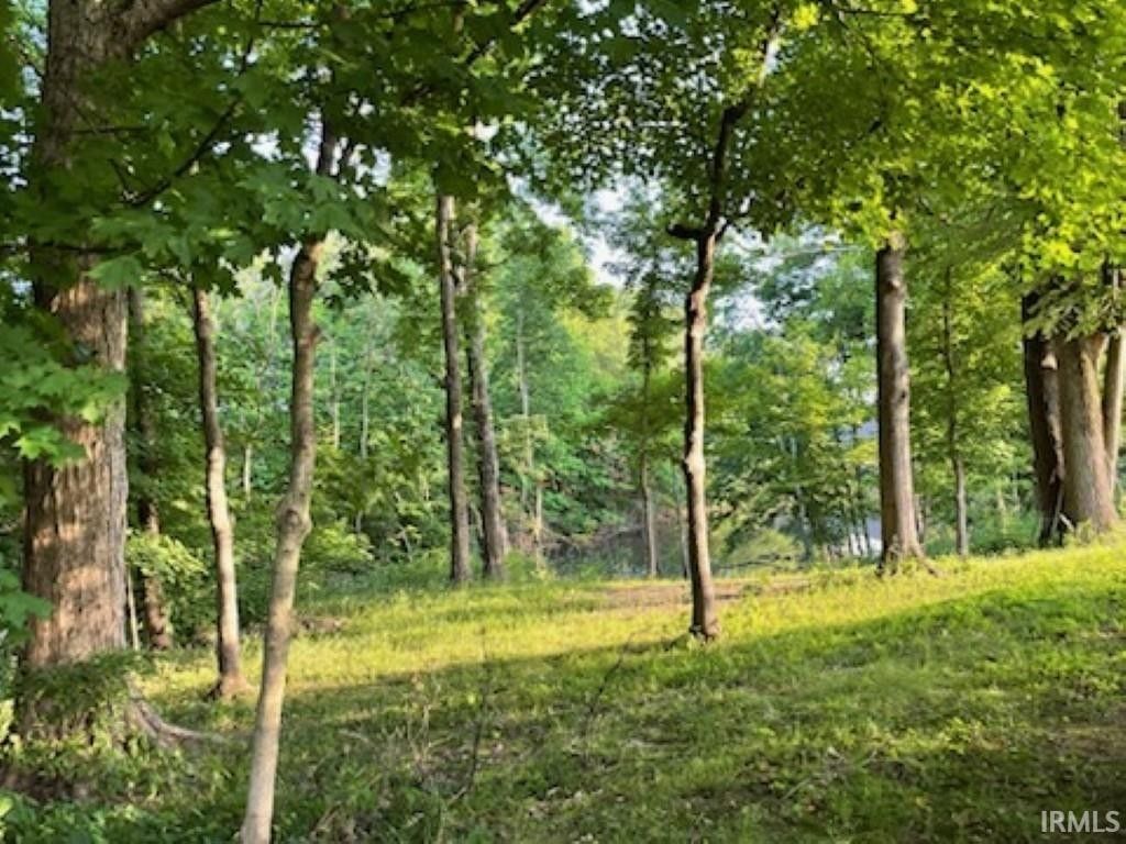 Bicknell, Knox County, IN Undeveloped Land for sale Property ID