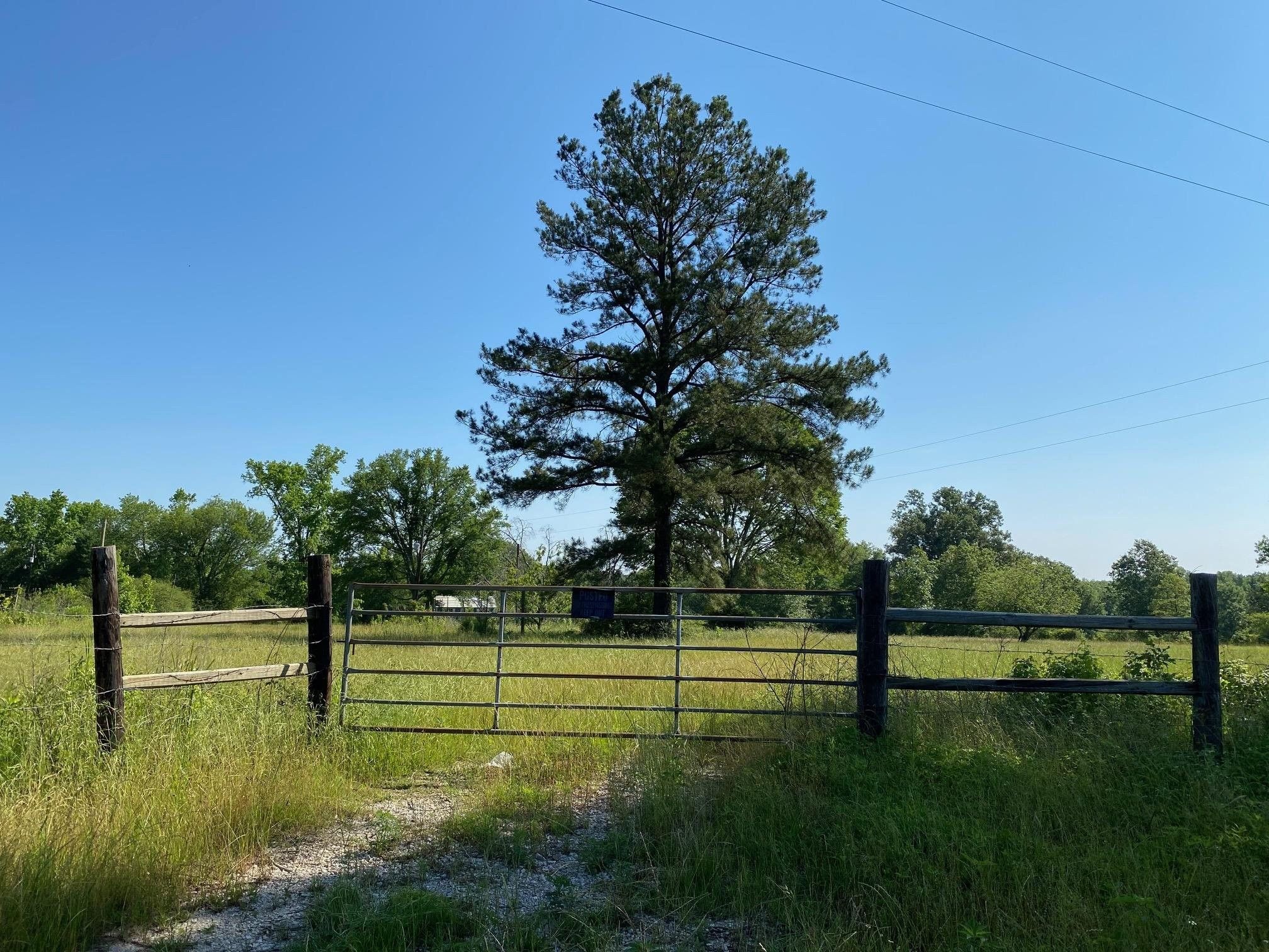 Shelbyville, Shelby County, TX Undeveloped Land for sale Property ID