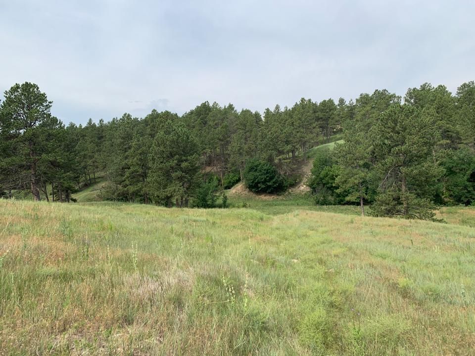 Wounded Knee, Oglala Lakota County, SD Farms and Ranches for sale