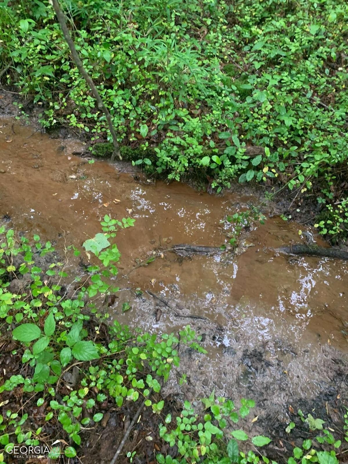 Commerce, Jackson County, GA Undeveloped Land, Homesites for sale