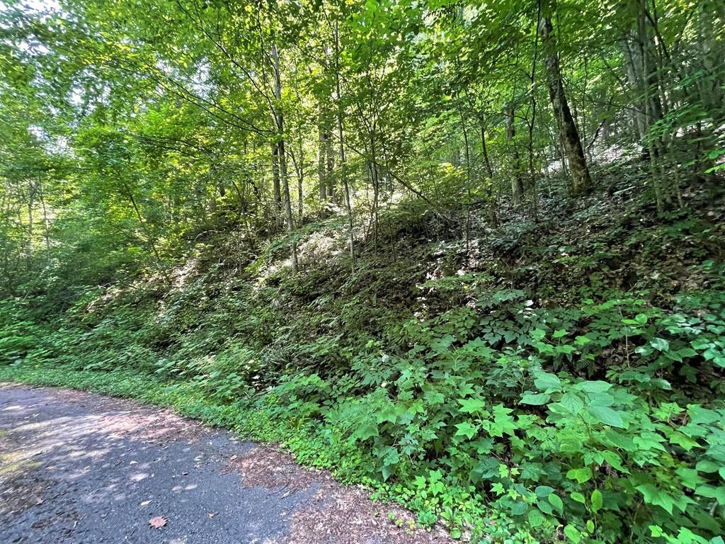 Bryson City, Swain County, NC Undeveloped Land for sale Property ID