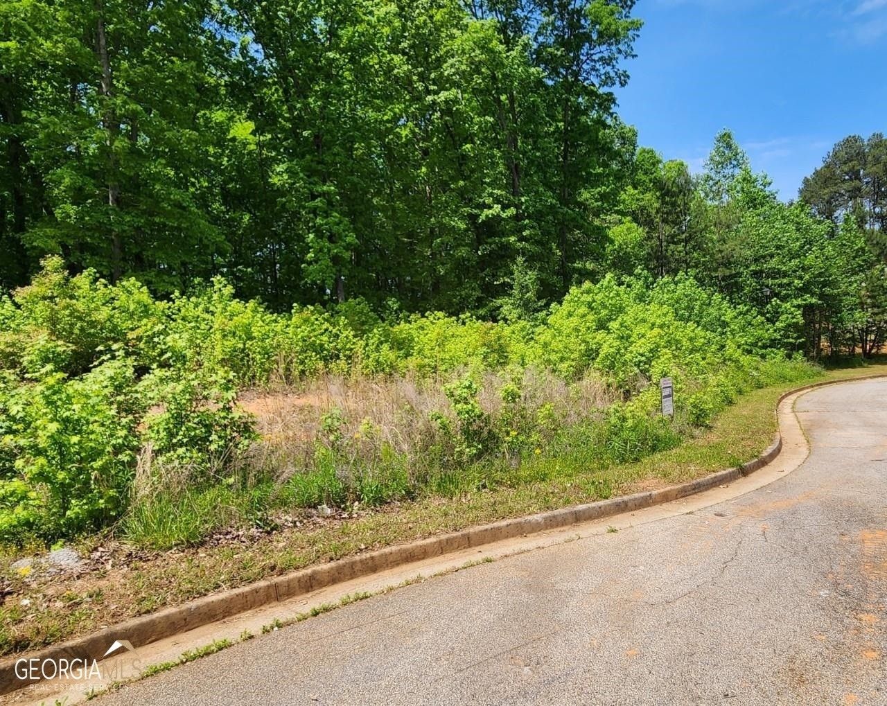 Locust Grove, Henry County, GA Farms and Ranches, Homesites for sale