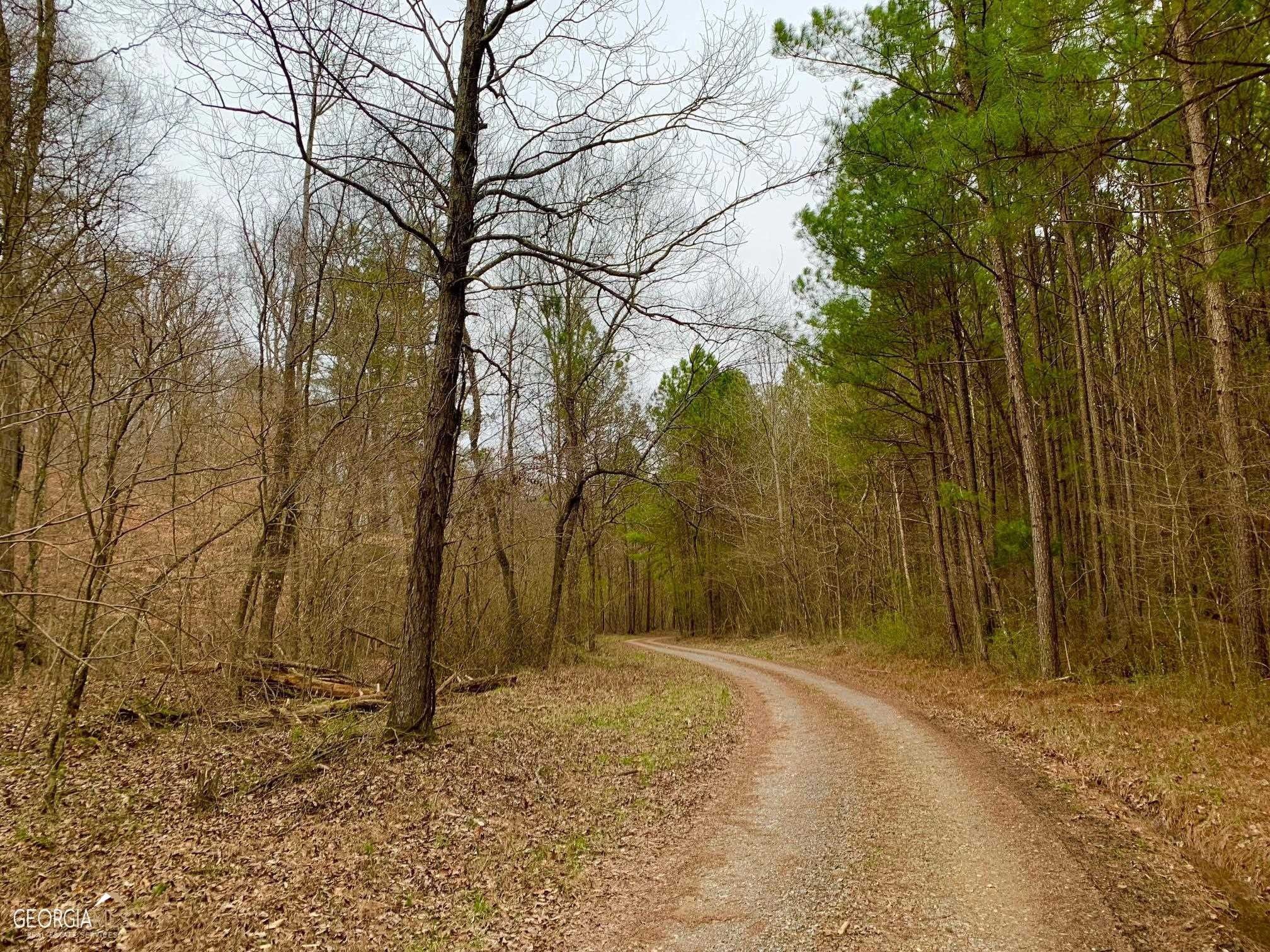 Chickamauga, Walker County, GA Undeveloped Land for sale Property ID