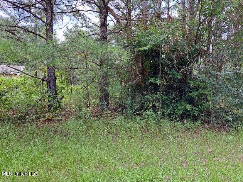 Magee, Simpson County, MS Farms and Ranches, Homesites for sale