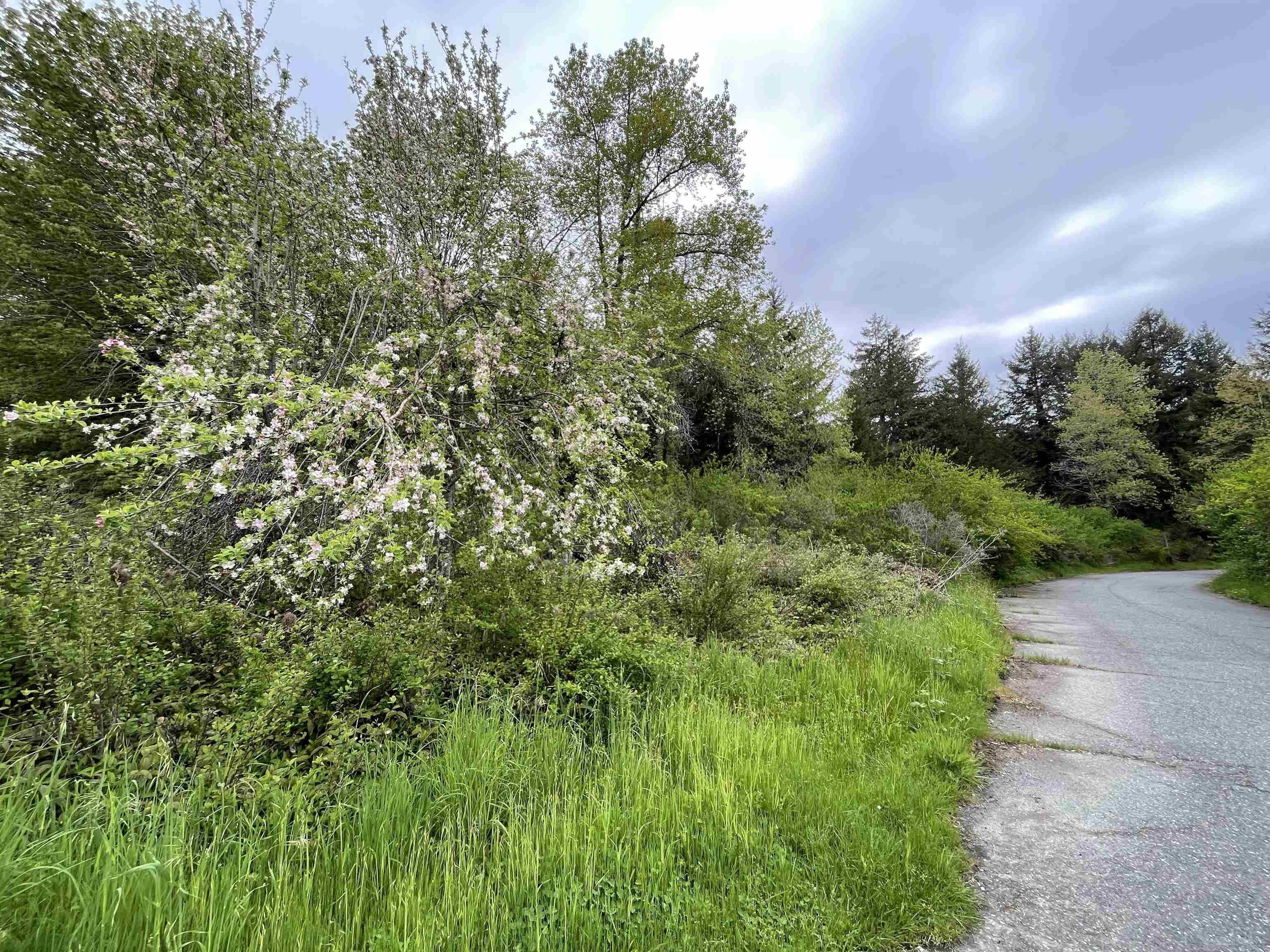 Klamath, Del Norte County, CA Lakefront Property, Waterfront Property