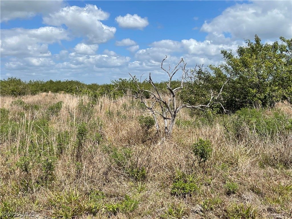 Labelle, Hendry County, FL Undeveloped Land, Lakefront Property