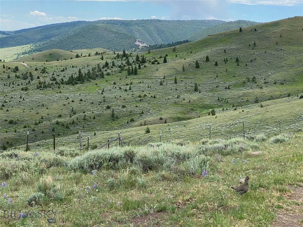 Ennis, Madison County, MT Farms and Ranches for sale Property ID