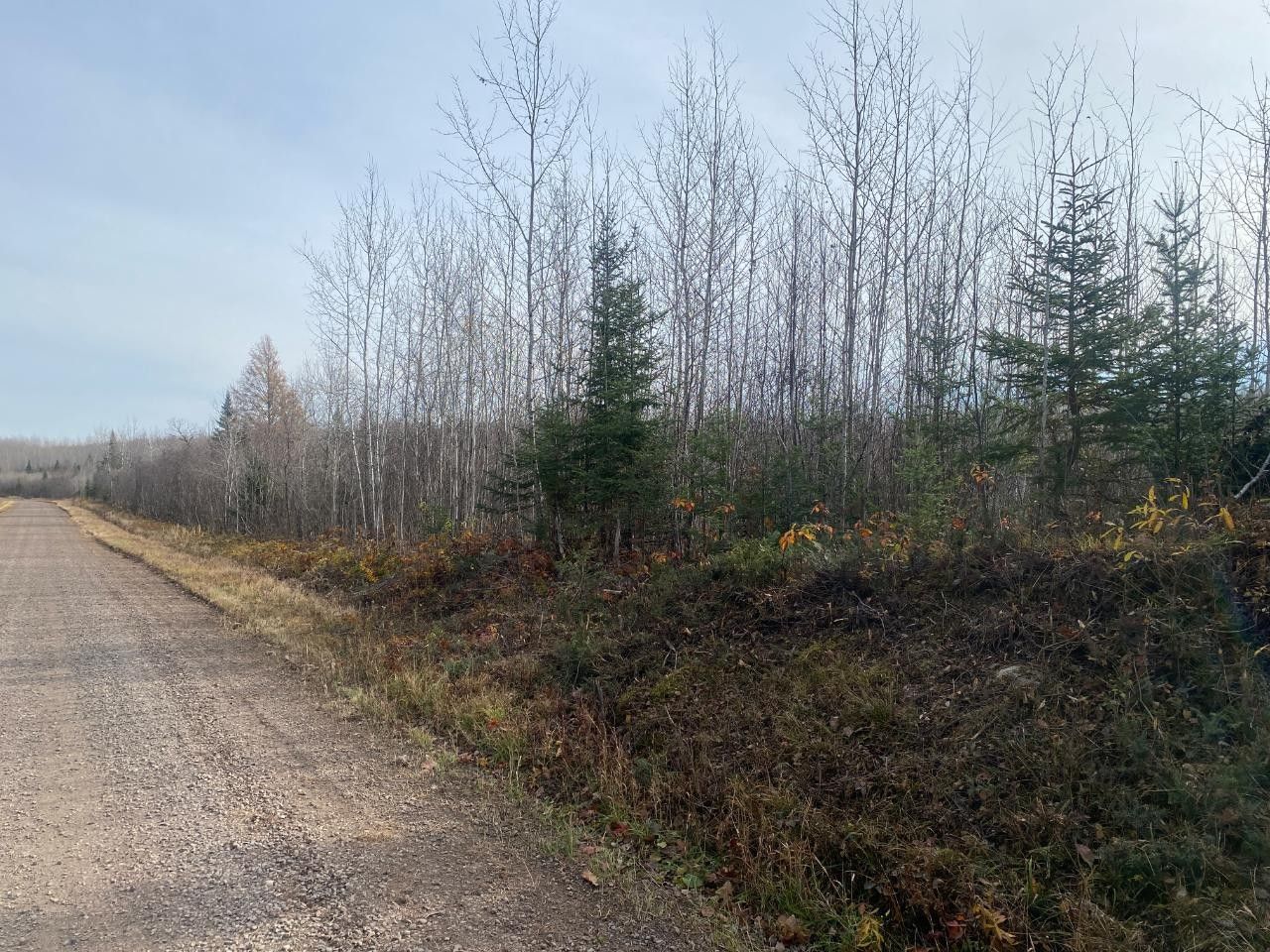 Butternut, Ashland County, WI Undeveloped Land for sale Property ID