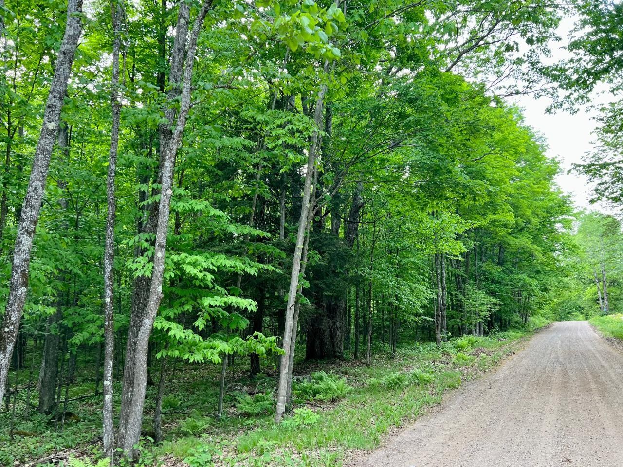 Summit Lake, Langlade County, WI Undeveloped Land for sale Property ID