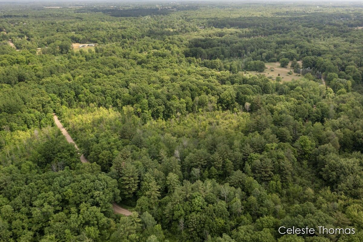 Fenwick, Montcalm County, MI Undeveloped Land for sale Property ID