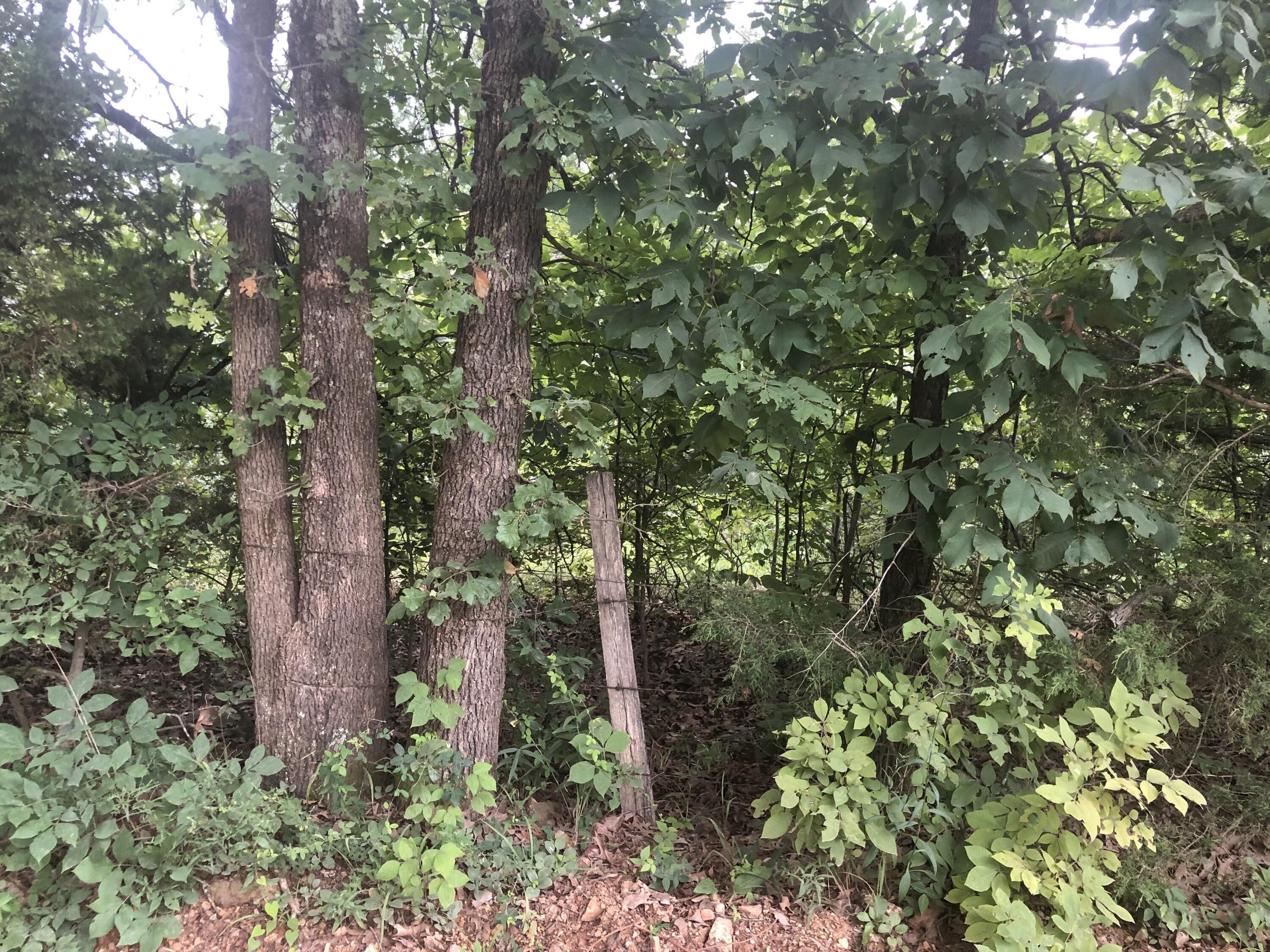 Alton, Oregon County, MO Farms and Ranches for sale Property ID