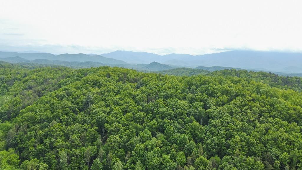 Cosby, Sevier County, TN Undeveloped Land for sale Property ID