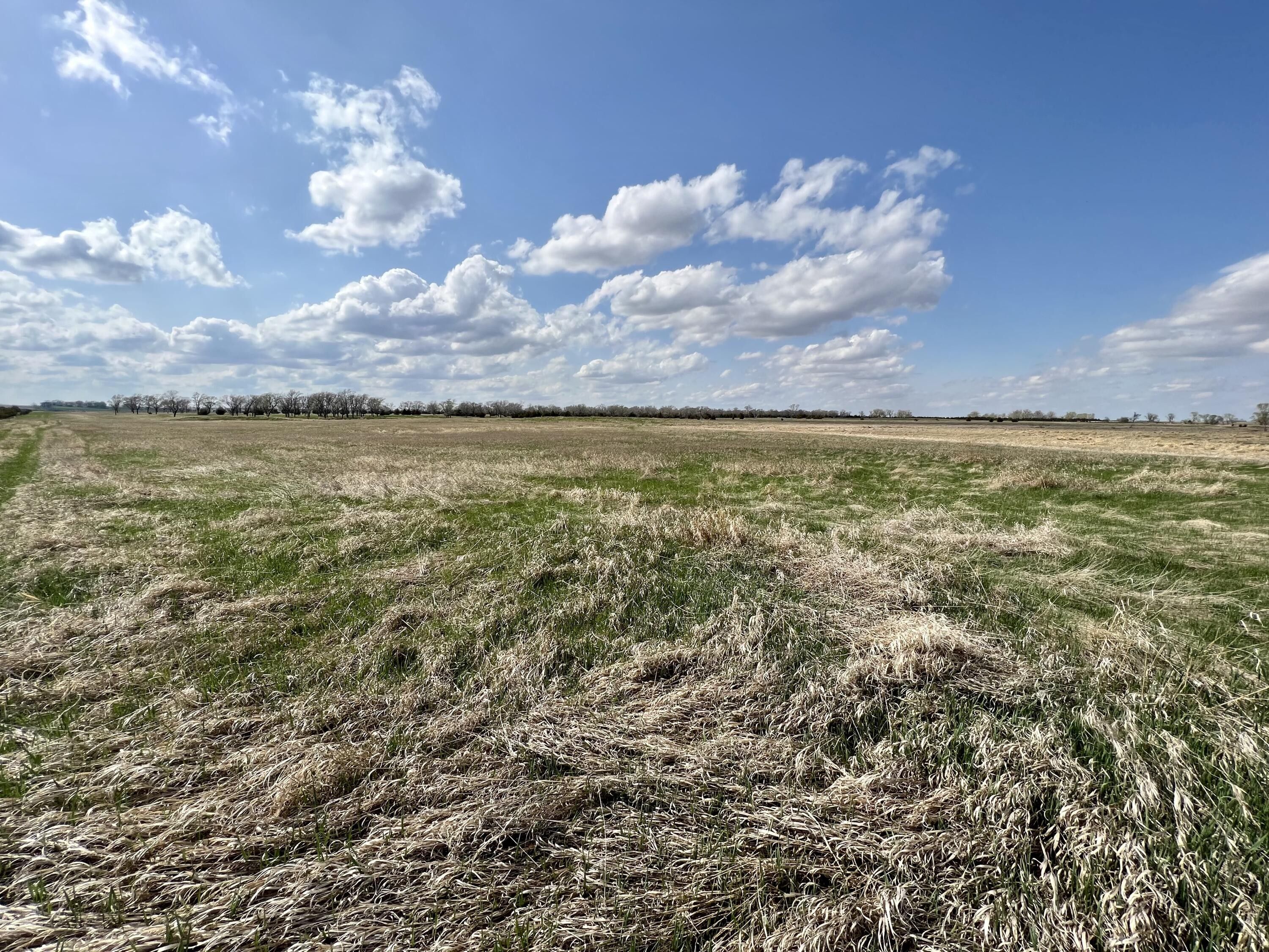Wolsey, Beadle County, SD Undeveloped Land for sale Property ID
