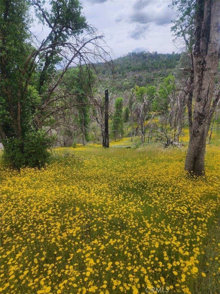 Mariposa, Mariposa County, CA Undeveloped Land for sale Property ID