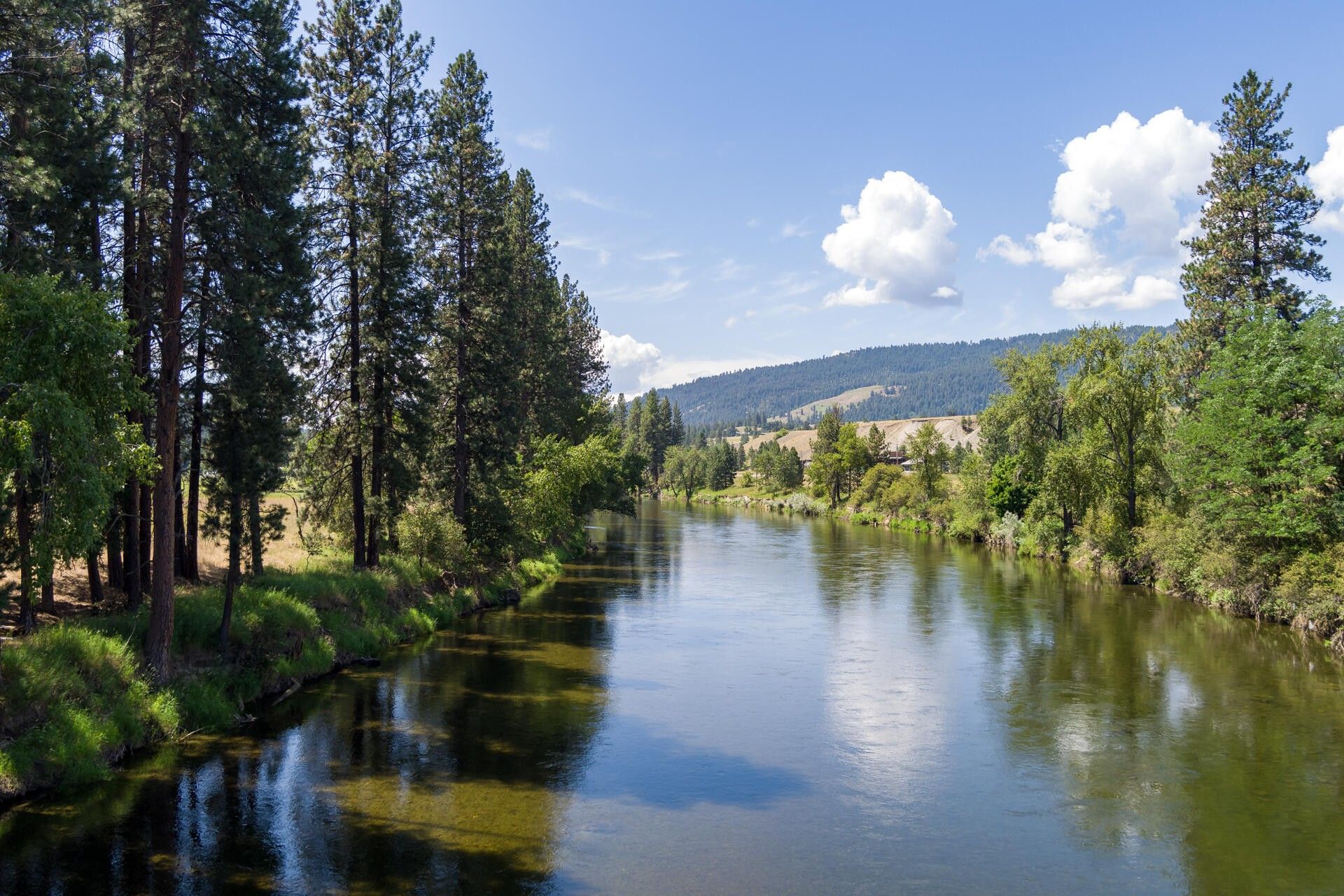 XXX BOUNDARY RD, Danville, WA 99121 MLS 42566 LandWatch