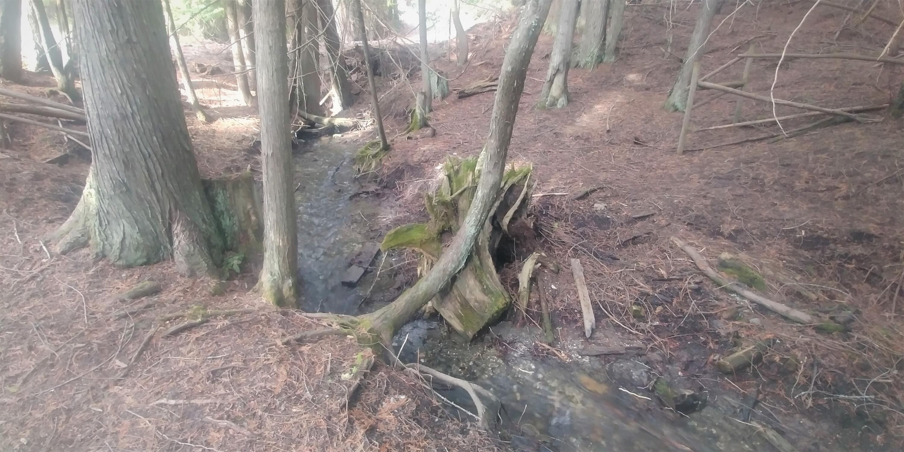 Rice, Stevens County, WA Farms and Ranches, Lakefront Property