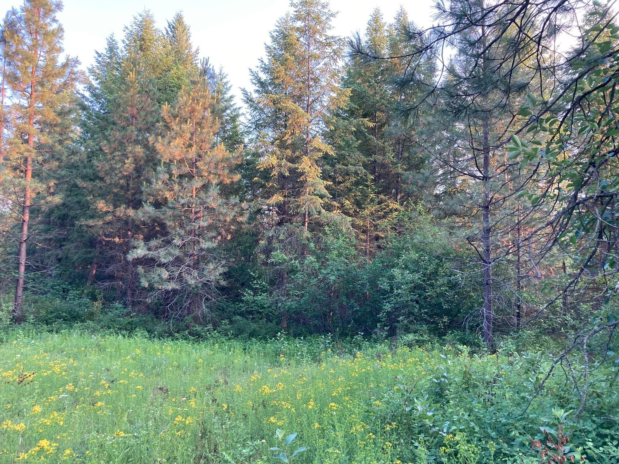 Kettle Falls, Stevens County, WA Farms and Ranches for sale Property ID