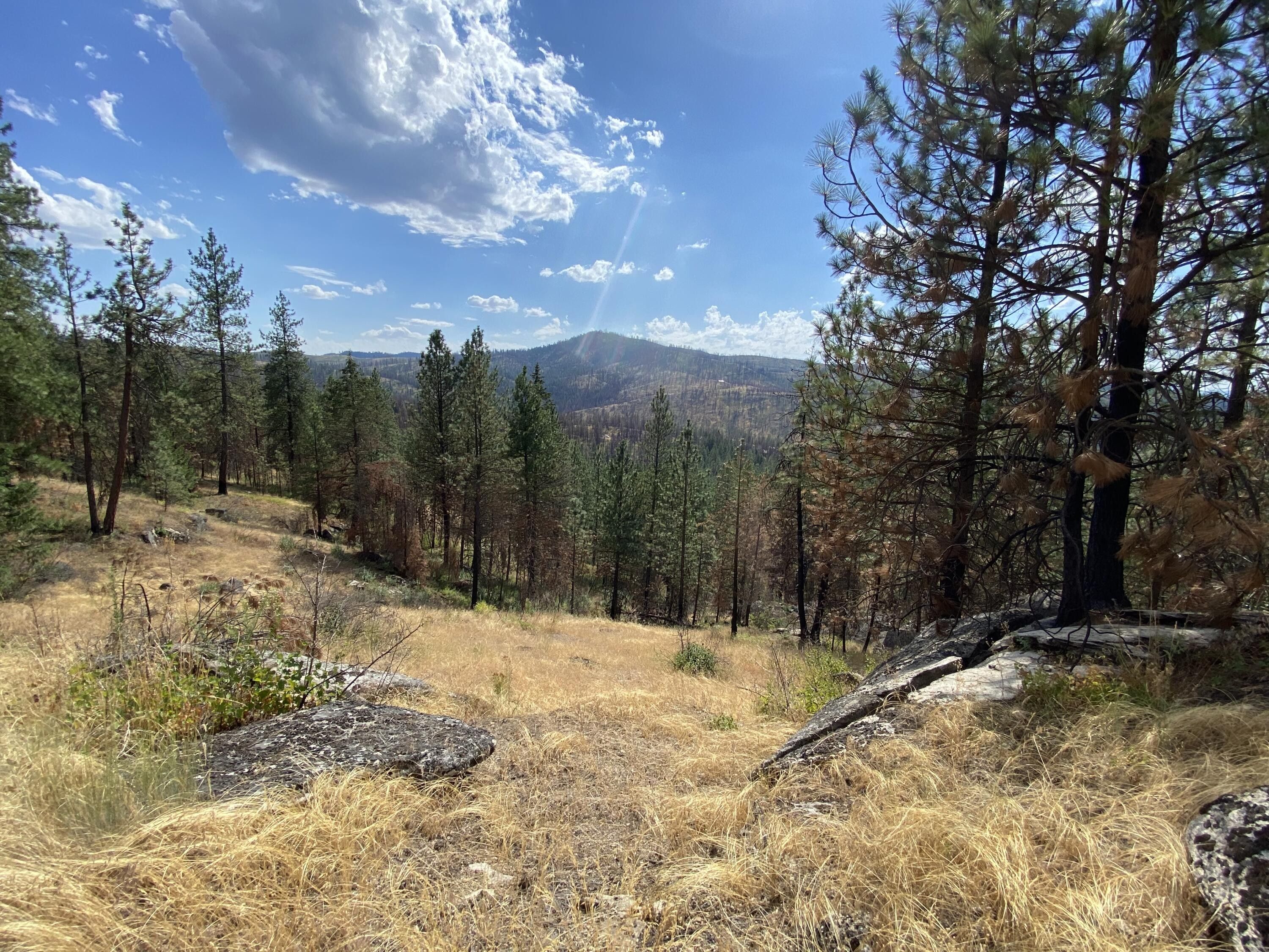 Springdale, Stevens County, WA Undeveloped Land for sale Property ID