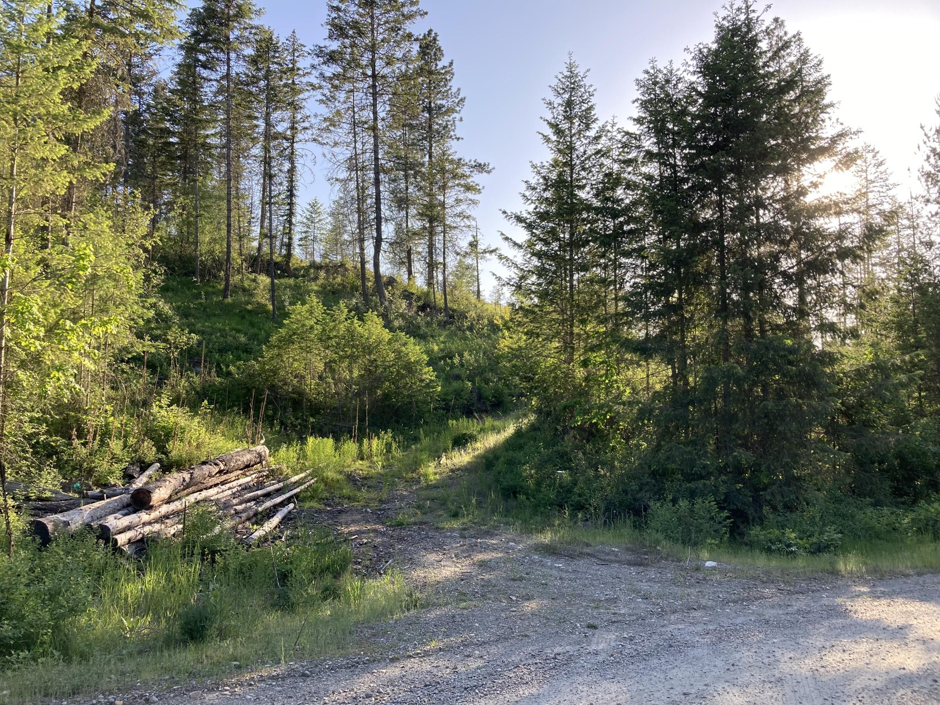 Colville, Stevens County, WA Undeveloped Land for sale Property ID