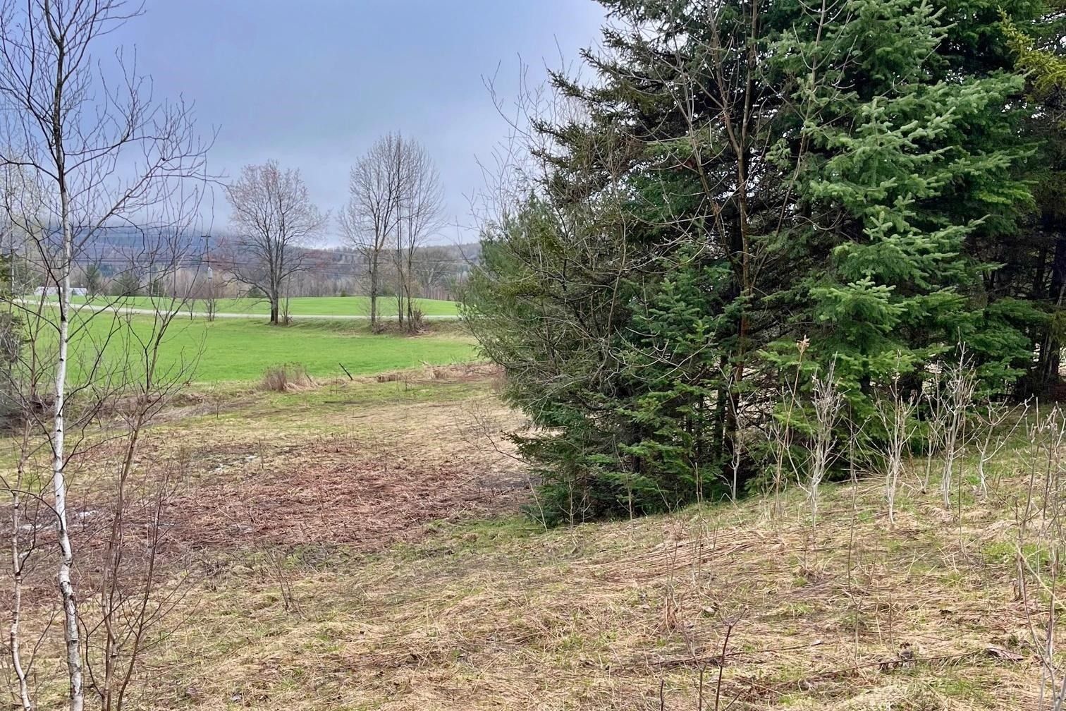 Newport Center, Orleans County, VT Undeveloped Land, Homesites for sale