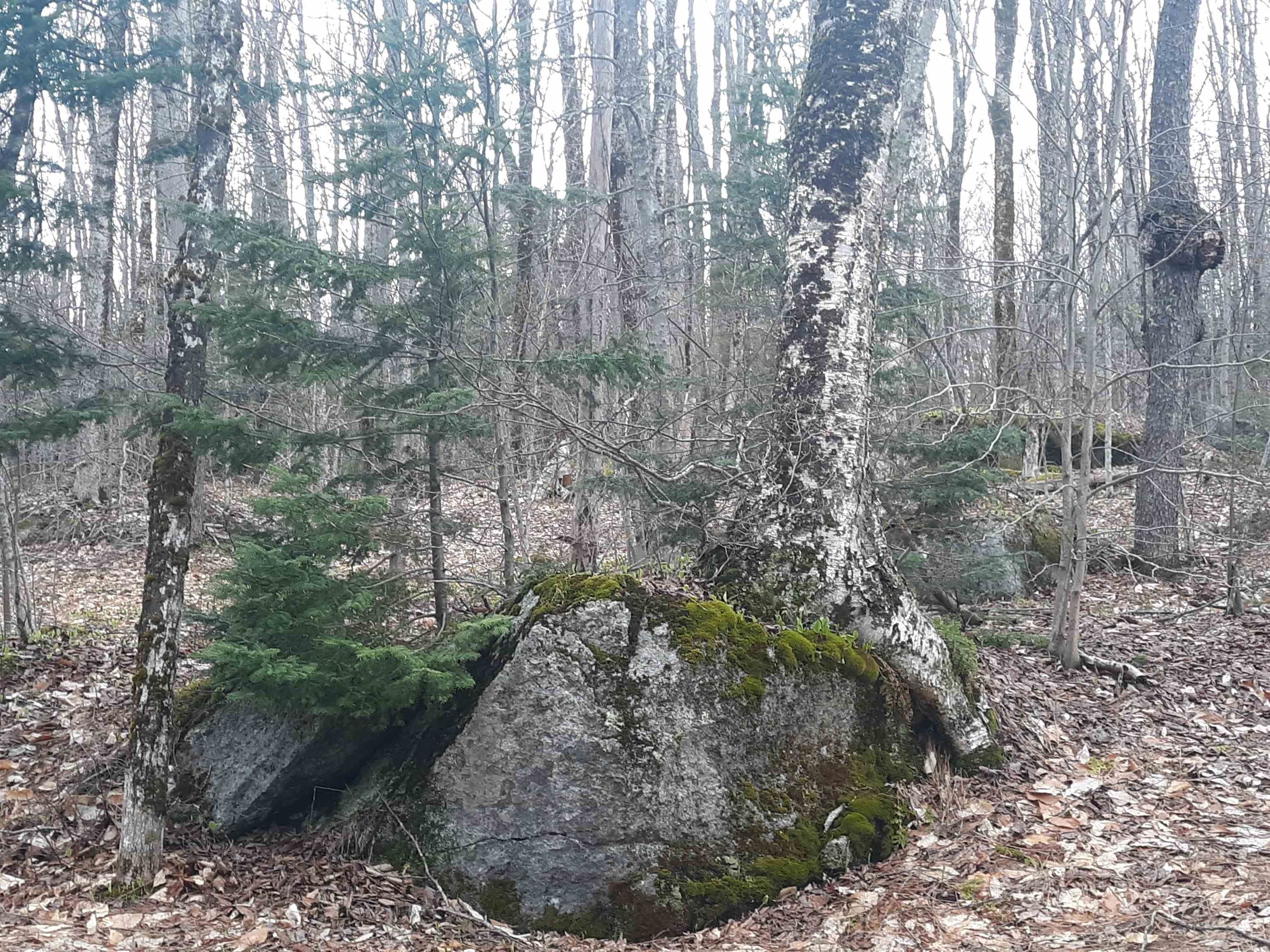 Stamford, Bennington County, VT Undeveloped Land for sale Property ID