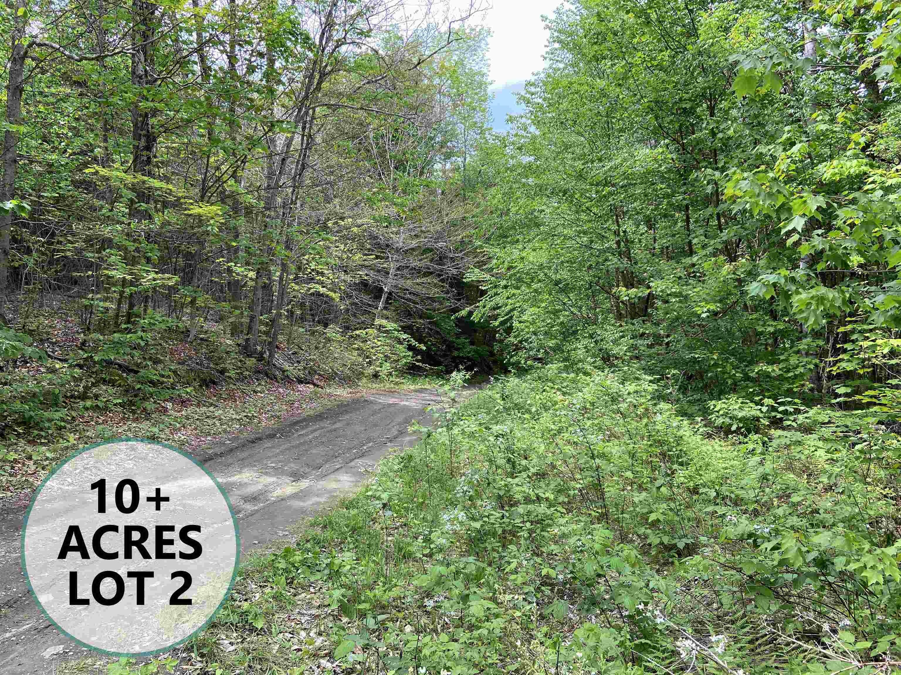 Wheelock, Caledonia County, VT Undeveloped Land, Lakefront Property