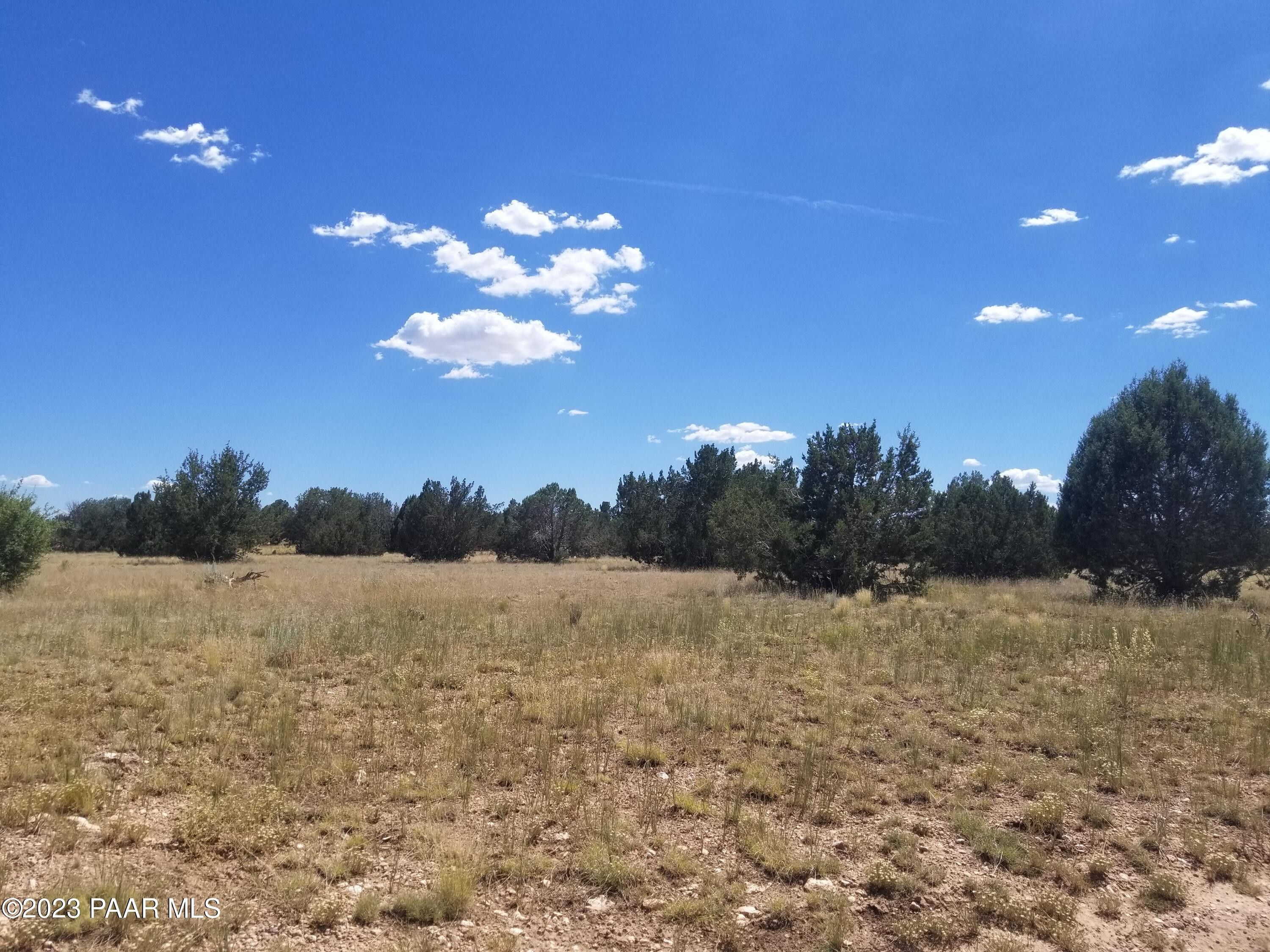 Ash Fork, Yavapai County, AZ Undeveloped Land for sale Property ID