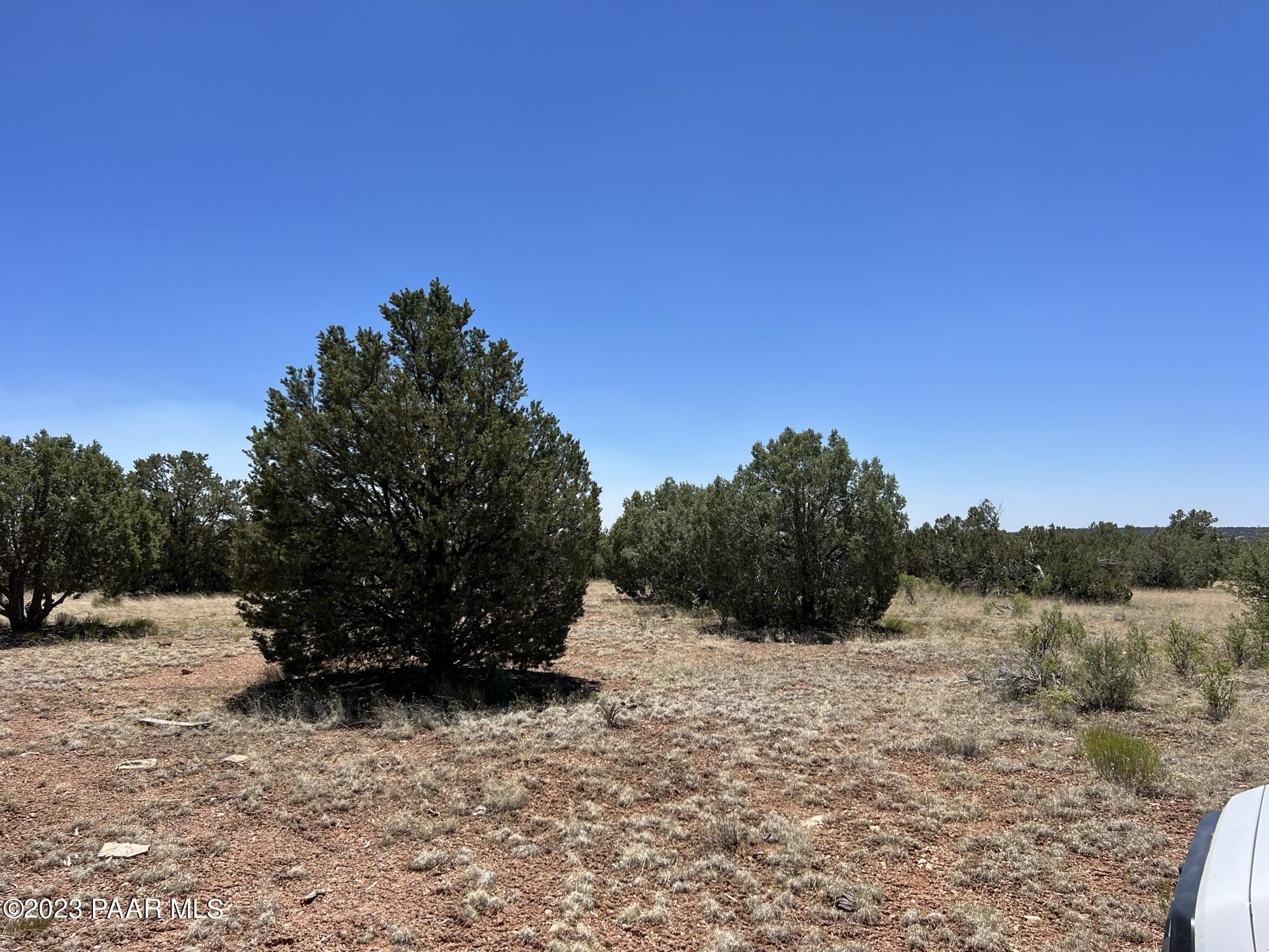 Seligman, Yavapai County, AZ Undeveloped Land for sale Property ID