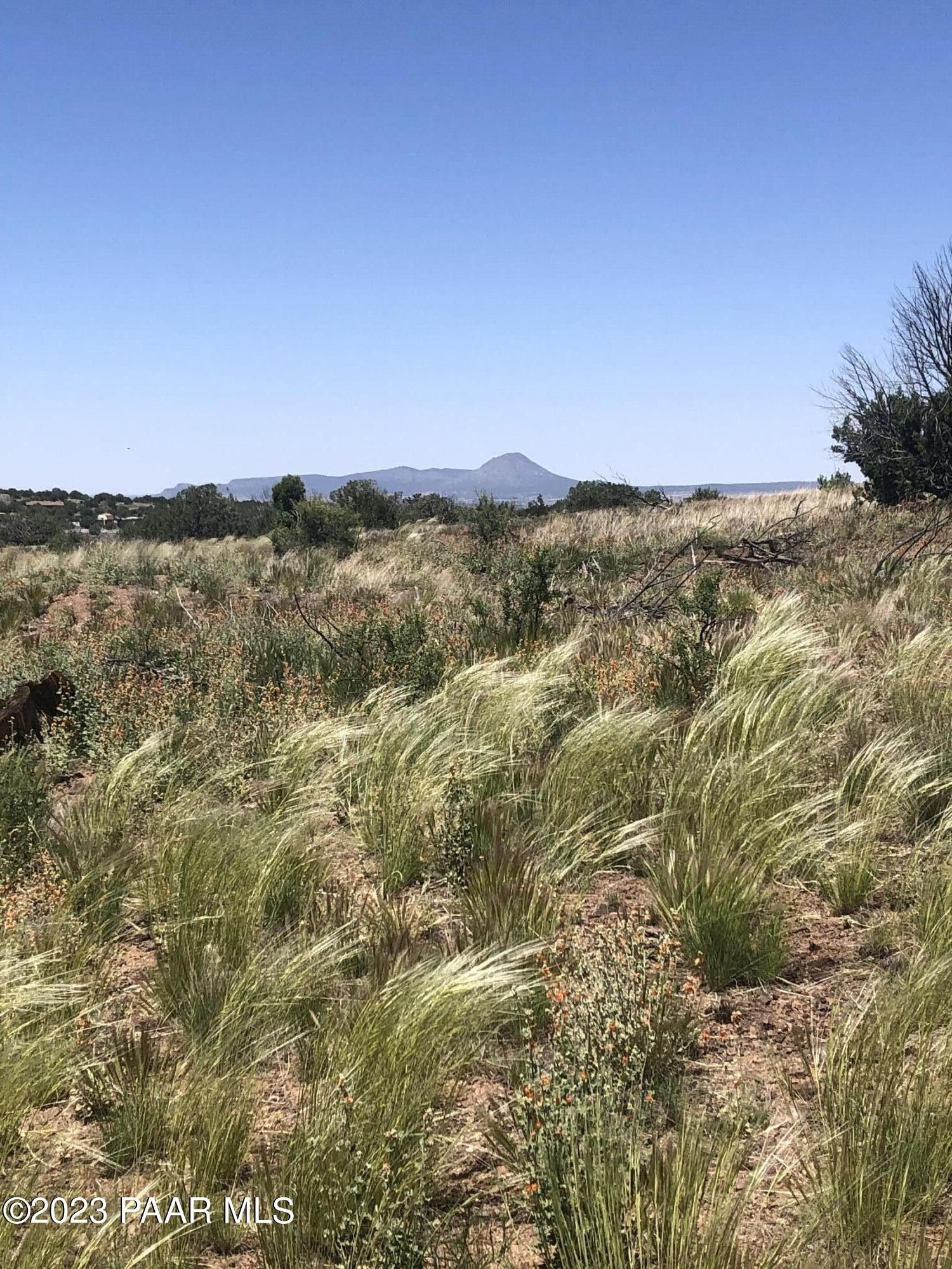 Ash Fork, Yavapai County, AZ Undeveloped Land for sale Property ID