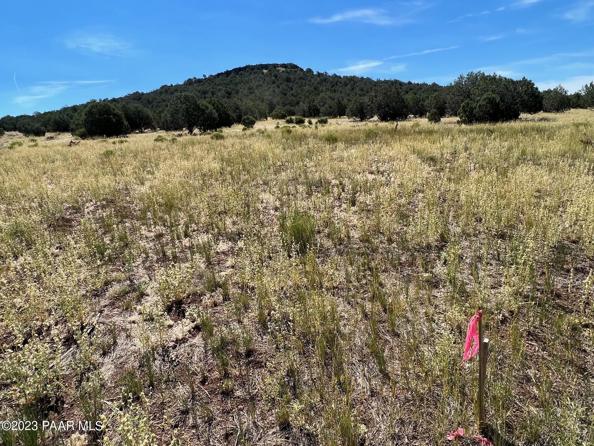 Ash Fork, Yavapai County, AZ Undeveloped Land for sale Property ID