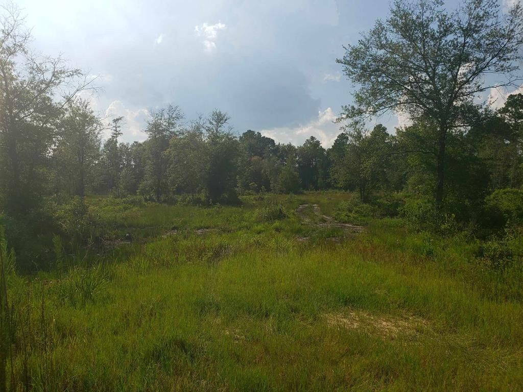 Surrency, Appling County, GA Undeveloped Land, Homesites for sale