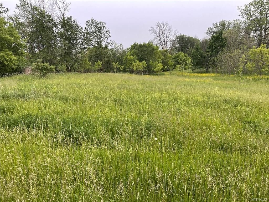 Corfu, Genesee County, NY Undeveloped Land, Homesites for sale Property