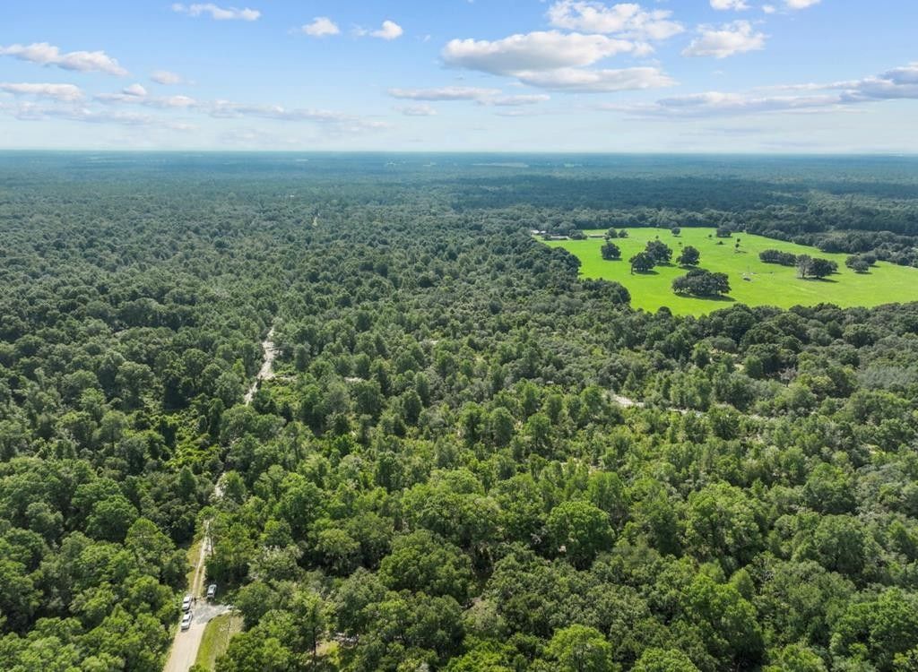 Old Town, Dixie County, FL Undeveloped Land for sale Property ID
