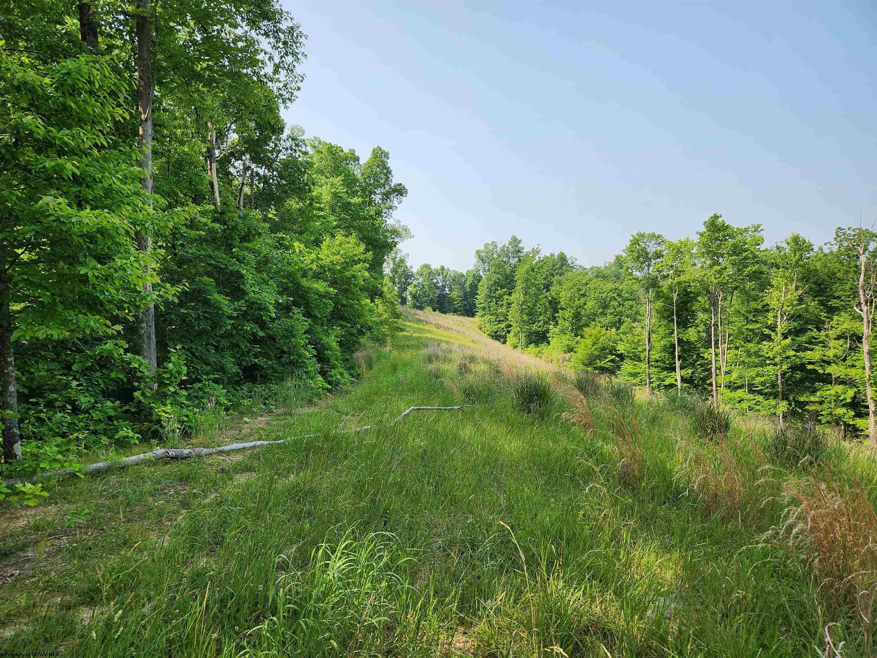 TBD Murphy Creek Road, Weston, WV 26452 MLS 10149450 LandWatch