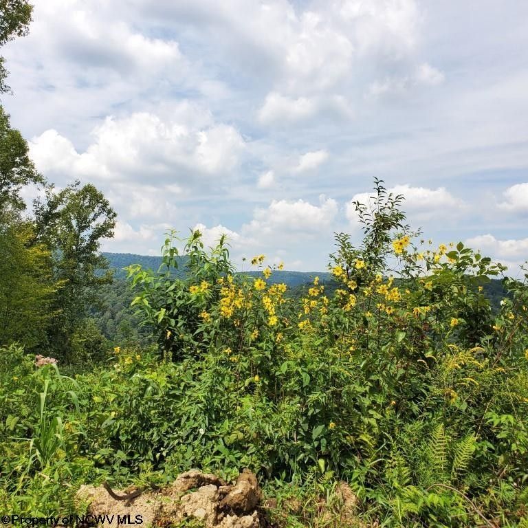 Terra Alta, Preston County, WV Undeveloped Land, Homesites for sale Property ID 417176448