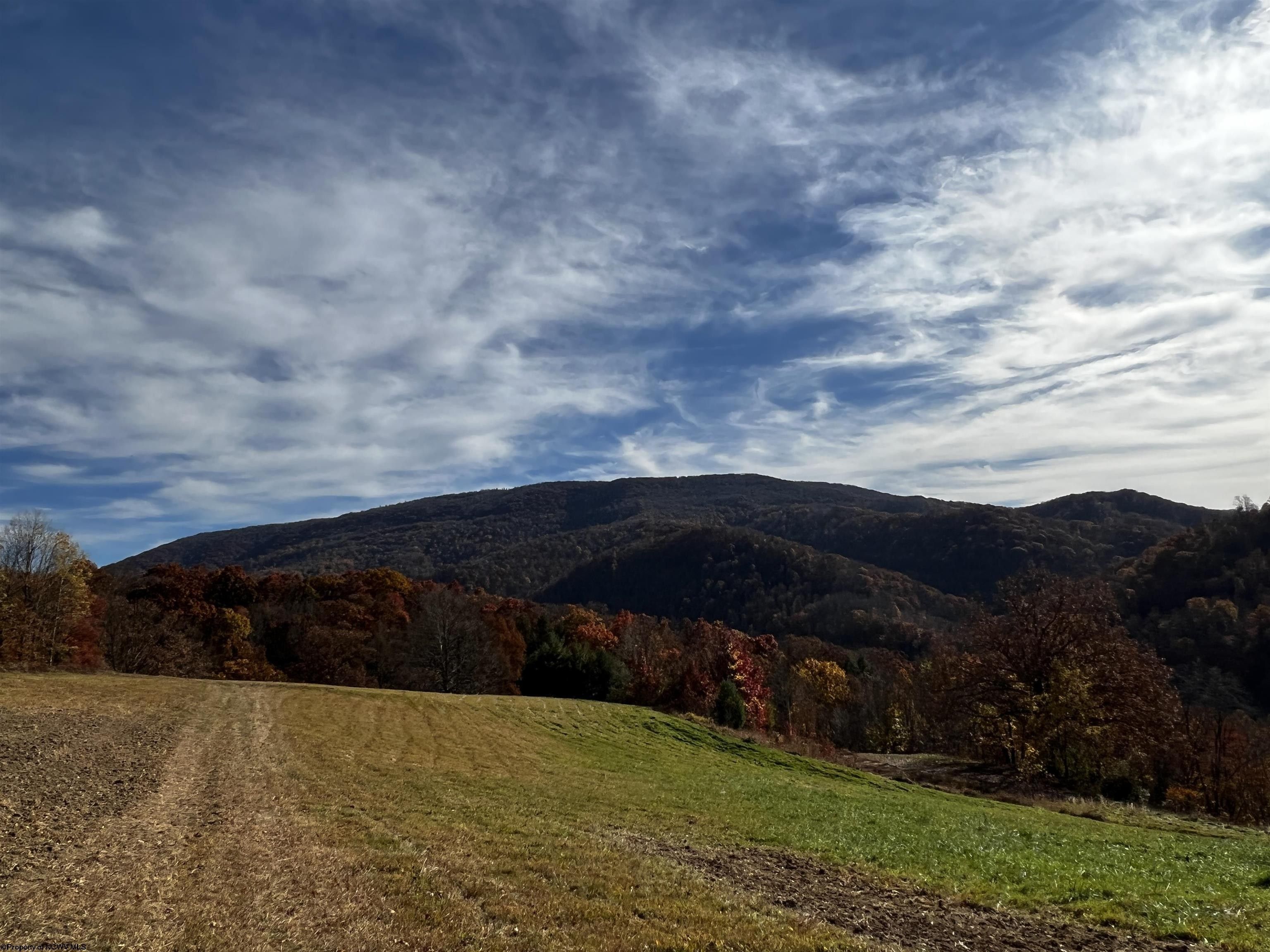 2878 Mackeyville Road, Hambleton, WV 26269 MLS 10149642 LandWatch