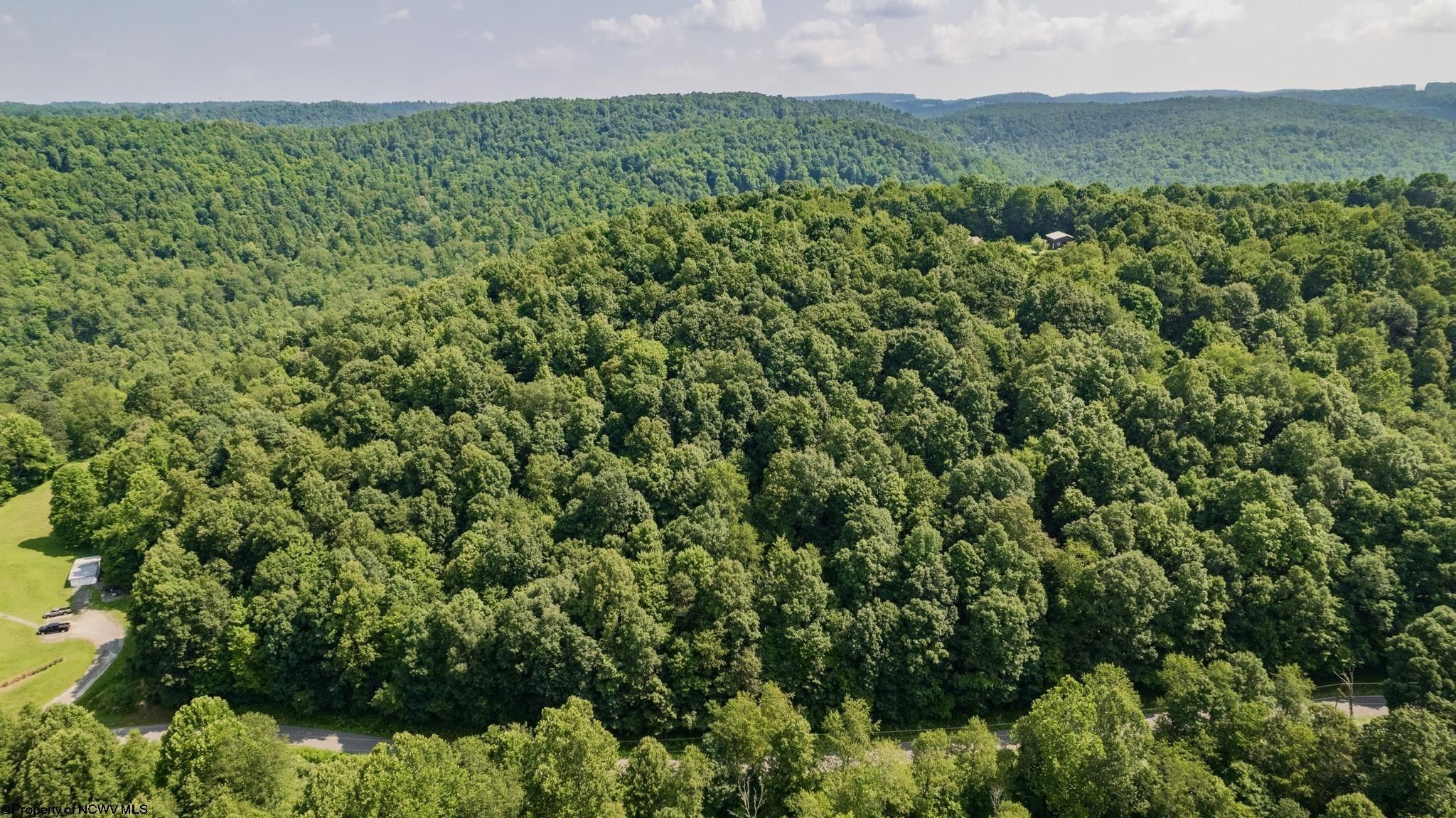 Newburg, Preston County, WV Undeveloped Land for sale Property ID