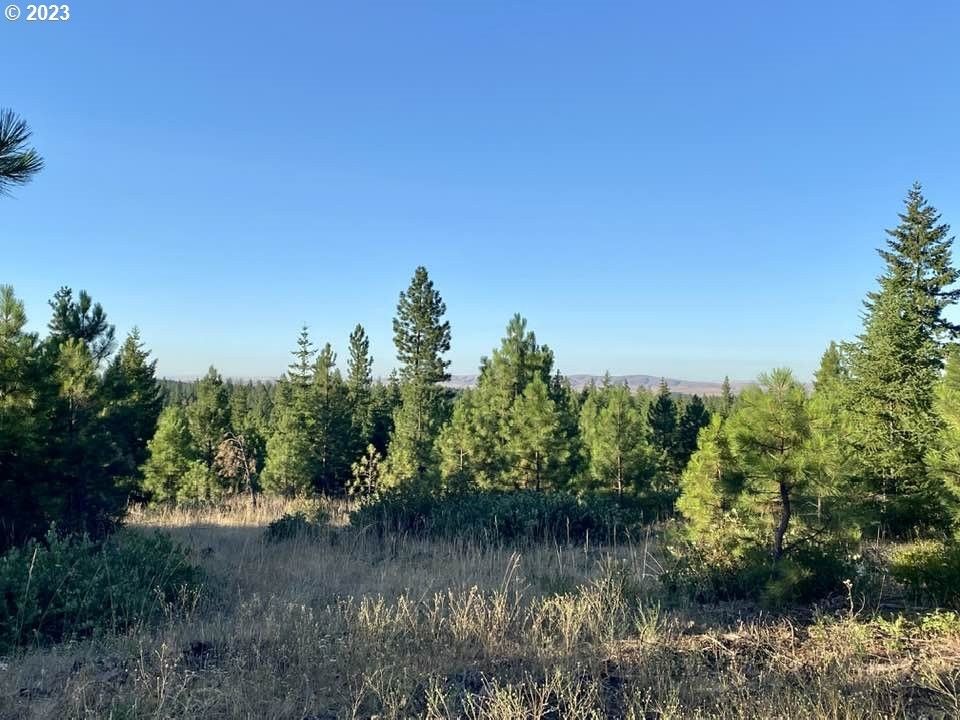 Goldendale, Klickitat County, WA Undeveloped Land for sale Property ID