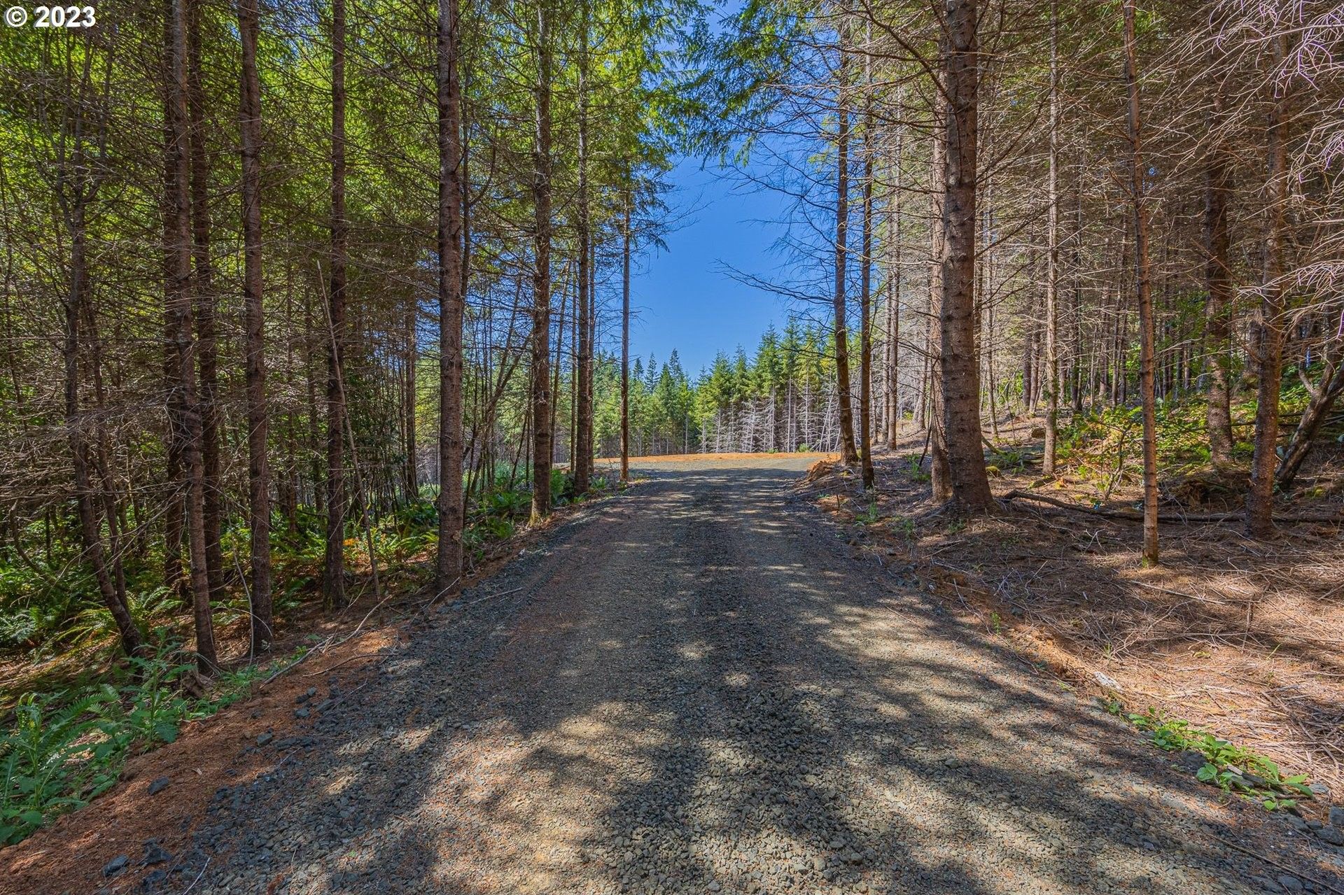 Coquille, Coos County, OR Farms and Ranches for sale Property ID