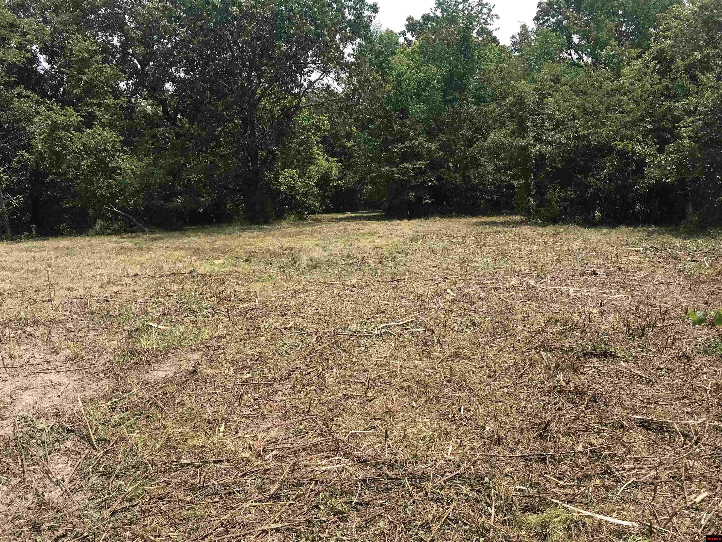 Saint Joe, Marion County, AR Undeveloped Land for sale Property ID 417179920 LandWatch