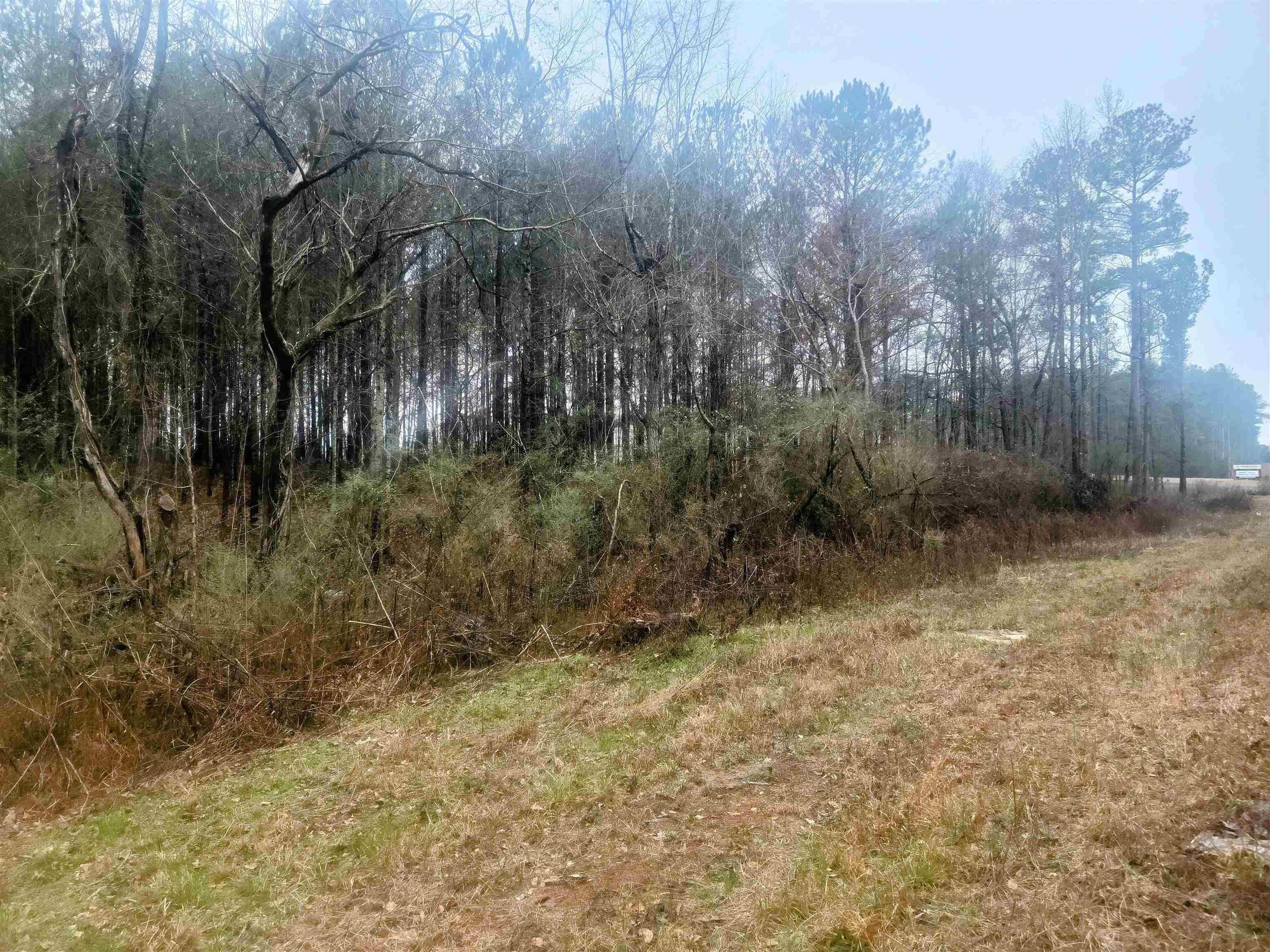 Mcdonough, Henry County, GA Undeveloped Land for sale Property ID