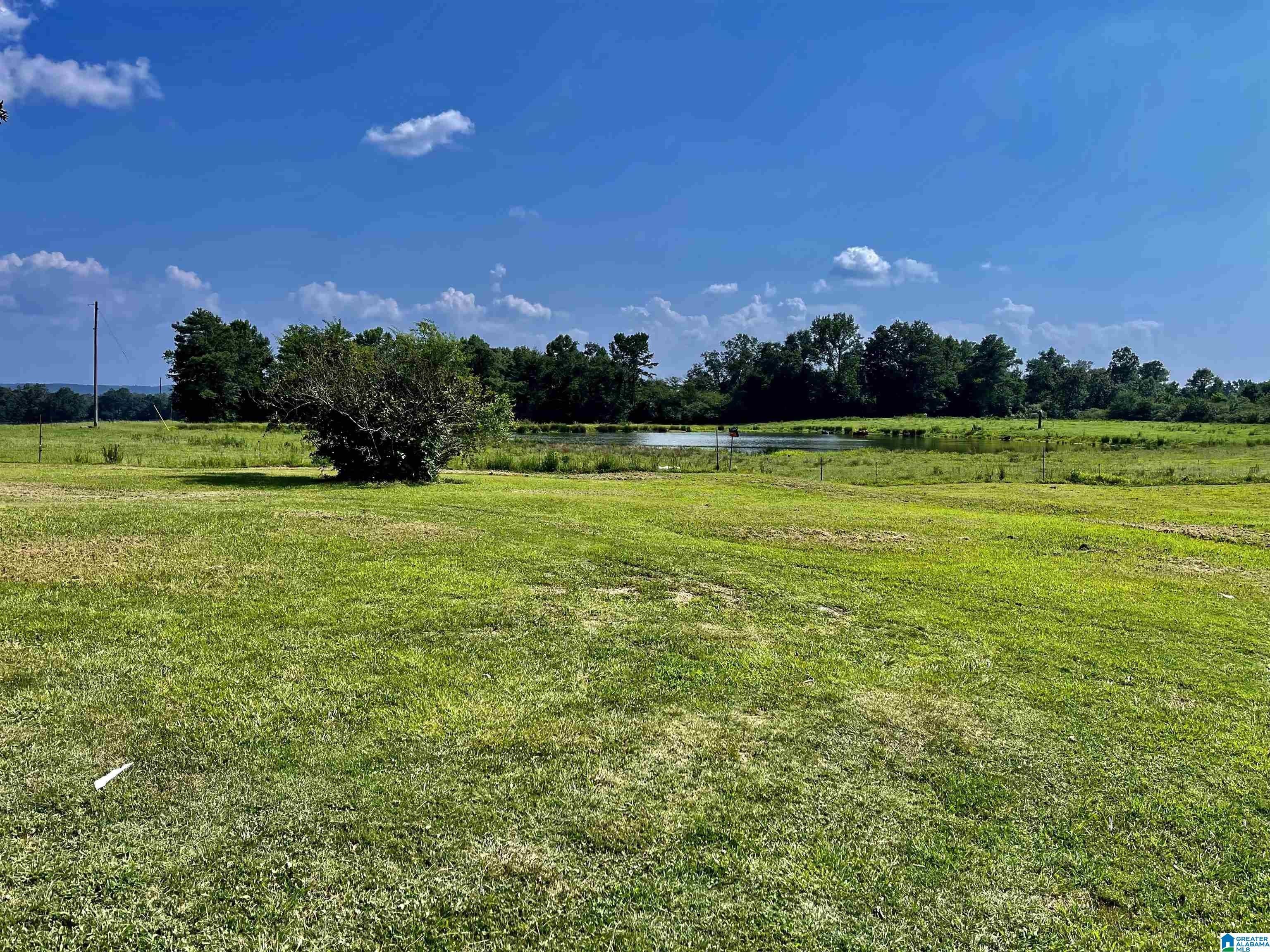 Blountsville, Blount County, AL House for sale Property ID 417184444