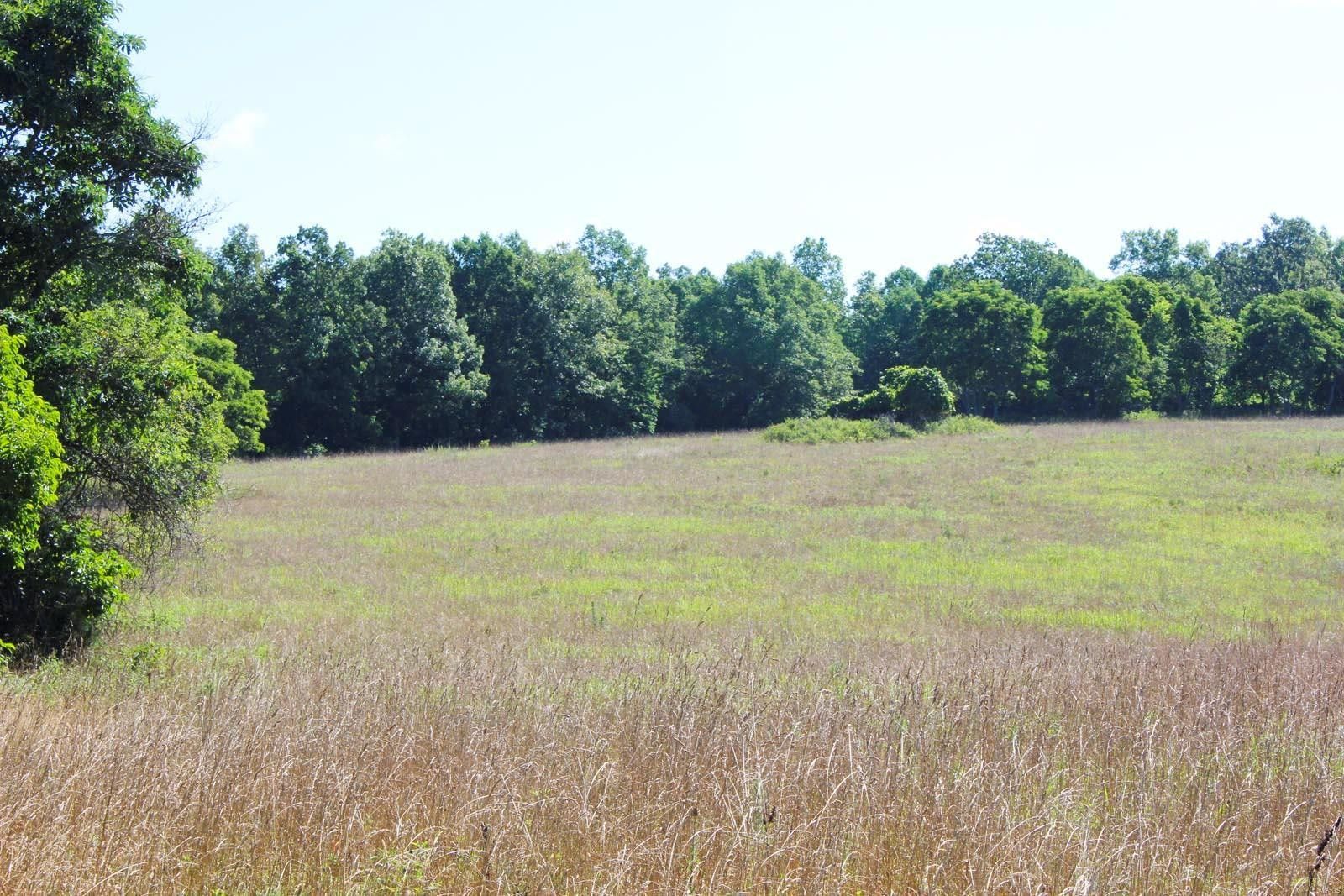 Mountain View, Howell County, MO Farms and Ranches for sale Property ID