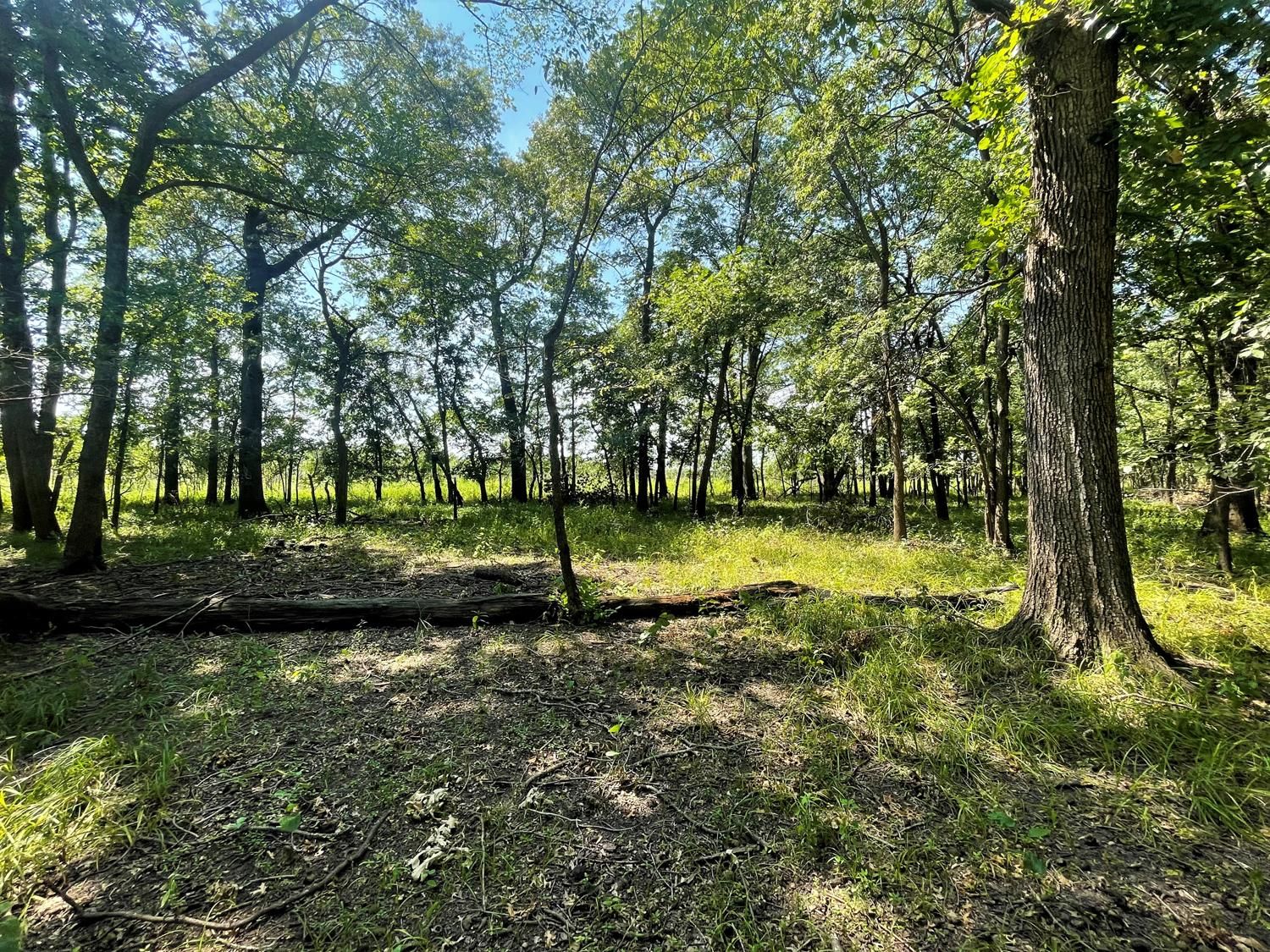 Yates Center, Woodson County, KS Recreational Property, Timberland