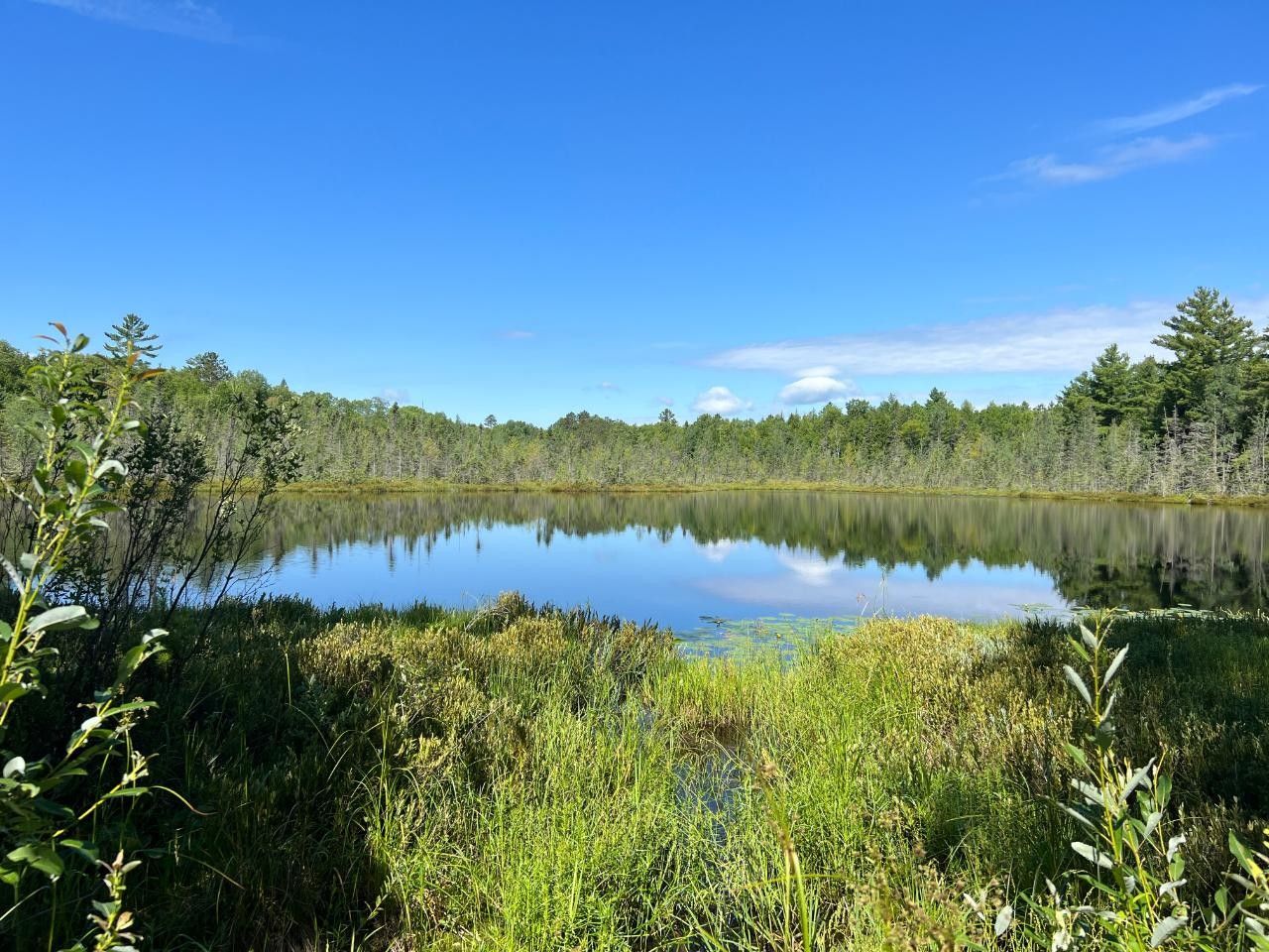 Lac Du Flambeau, Vilas County, WI Farms and Ranches, Lakefront Property