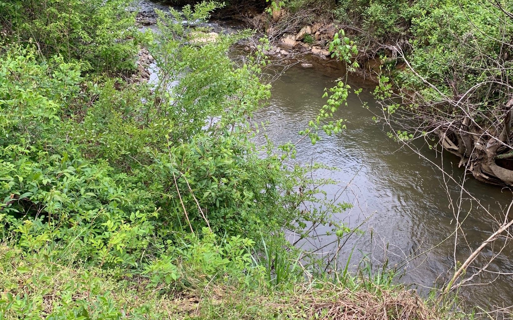 Hayesville, Clay County, NC for sale Property ID 410088084 LandWatch