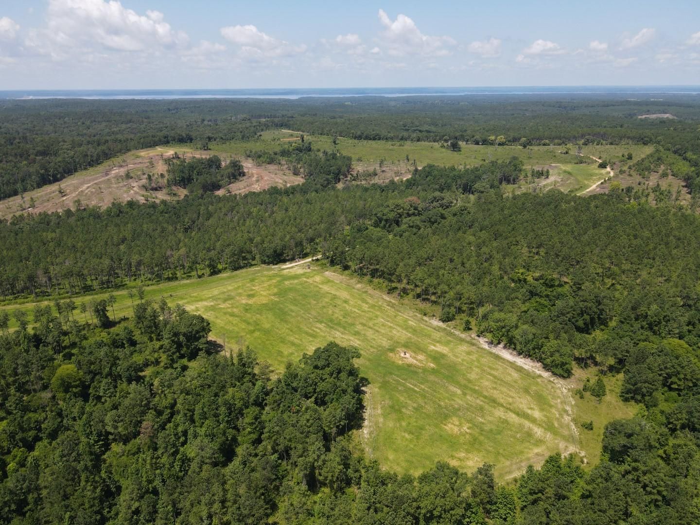 Fort Gaines, Clay County, GA Timberland Property, Undeveloped Land